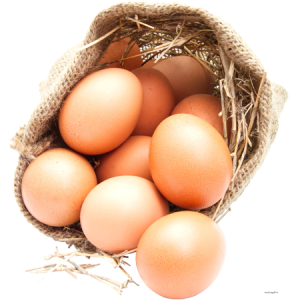 organic-egg